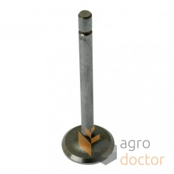 Intake valve engine - 826244M1 Massey Ferguson