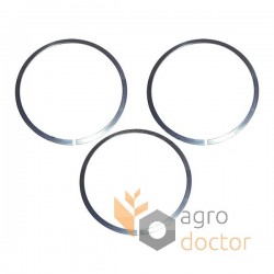 212571 ring set of friction disc for CLAAS Jaguar forage combine
