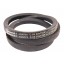 Classic V-belt 621259M1 suitable for Massey Ferguson [Continental Conti-V]