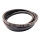 Classic V-belt 070310.1 suitable for Claas [Roulunds Roflex TS]