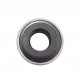 HC204 [ASK] Radial insert ball bearing