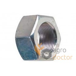 Hex nut 24 - 3030997 suitable for LEMKEN [Original]