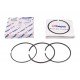 Piston ring set 4222950M91 Maseey Ferguson