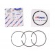 Piston ring set 4222950M91 Maseey Ferguson