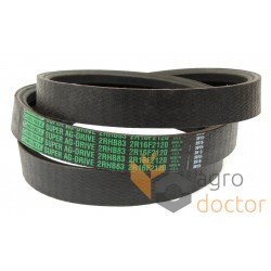 Wrapped banded belt 2HB83 [Carlisle]