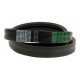 Wrapped banded belt 2HC112 [Carlisle]