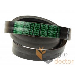 Wrapped banded belt 2HC89 [Carlisle]