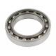 Ball bearing [AM]