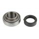 Ball bearing AH139297 [AM]