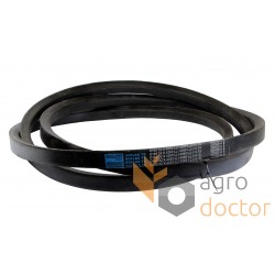 Classical V-Belt 32x4293 Li (D169) [Roulunds]