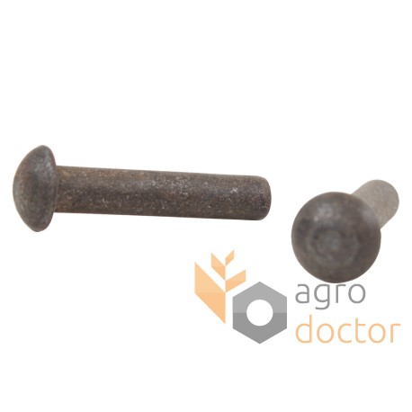 Segment Rivet 6x30mm