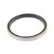 A16529 John Deere - Shaft seal [Agro Parts]