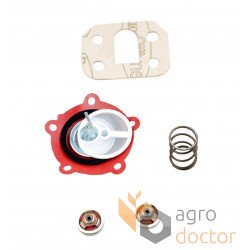 Repair kit for Perkins fuel pump