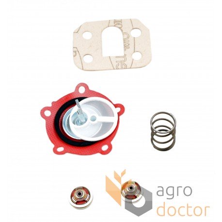 Repair kit for Perkins fuel pump