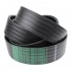 Wrapped banded belt 5HB192 [Carlisle]