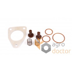 Repair kit for Perkins fuel pump