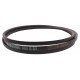 Classic V-belt B17x3650 (B142) Delta Classic [Gates]