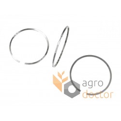 Piston rings (set)