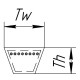 Correa trapezoidal clásica AK76 [Carlisle]