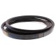 Classical V-Belt D32x4215 (D163) [Roulunds]