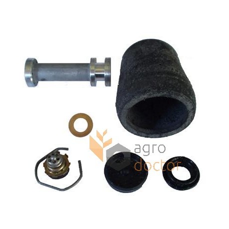 Main Brake Cylinder repair kit - 3102200M91 Massey Ferguson