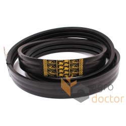 Wrapped banded belt 0124297 [Gates Agri]