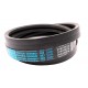 Wrapped banded belt 2HB-2450 [Roflex]