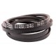 629036.0 suitable for Claas Dom 80/100 - Classic V-belt 20x4078 [Roulunds]