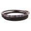 Classic V-belt 785341.0 suitable for Claas [Continental Conti-V]