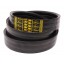1145961 Deutz-Fahr | 629366 suitable for Claas - Wrapped banded belt 1424215 [Gates Agri]