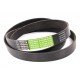 Multiple V-ribbed belt 1003946 [Optibelt]