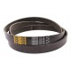 Multiple V-ribbed belt 0285325 [Gates]