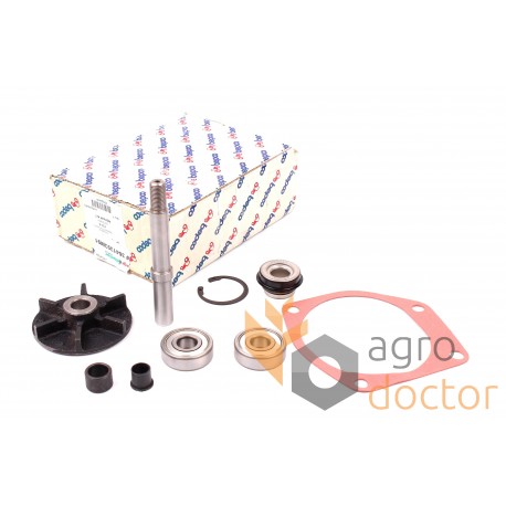 Kit de reparación de bomba de agua de motor 30/131-4 U7LW0101 Perkins, [Bepco]