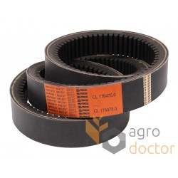 Variable speed belt 629035.0 [Stomil Harvest]