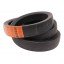 S0619175  Sampo HL78 Harvest Belts [Stomil] سير المتغير