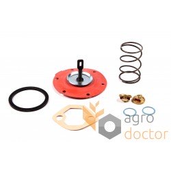 Fuel pump repair kit