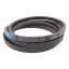 Classic V-belt C22x4268Lw (C166) [Roulunds]