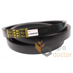 Variable speed belt 0312284 [Gates]