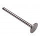 Engine exhaust valve - 3639239M1 Massey Ferguson