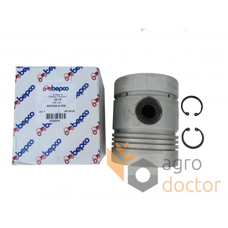 738871M91 Piston with wrist pin for Massey Ferguson engine, 5 rings