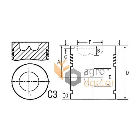 738871M91 Piston with wrist pin for Massey Ferguson engine, 5 rings