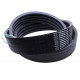 Wrapped banded belt 4HB-2270