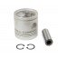 Piston with wrist pin for engine - 55778 Perkins 5 rings