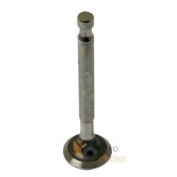 Engine outlet (exhaust) valve 43-2 [Bepco]