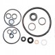 Hydraulic pump repair kit  1810529M91  (Bepco)