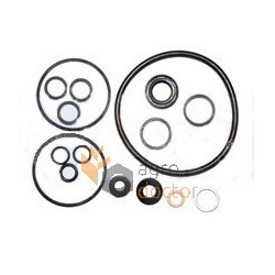 Hydraulic pump repair kit  1810529M91  (Bepco)