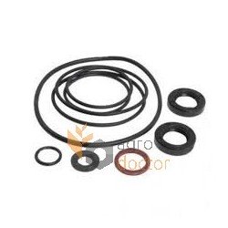 Hydraulic pump repair kit 30/575-3 Bepco