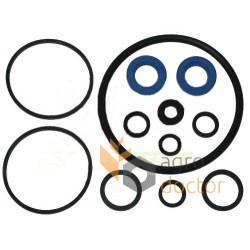 Hydraulic pump repair kit 1810509M91-Massey Ferguson