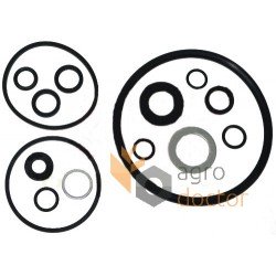 Hydraulic pump repair kit 1635948M92 Massey Ferguson