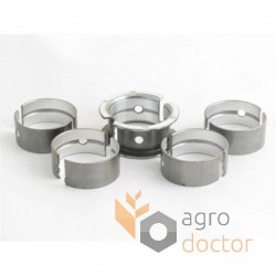 Crankshaft main bearing set 25/2-21 Bepco - 3064523R11 CASE IH